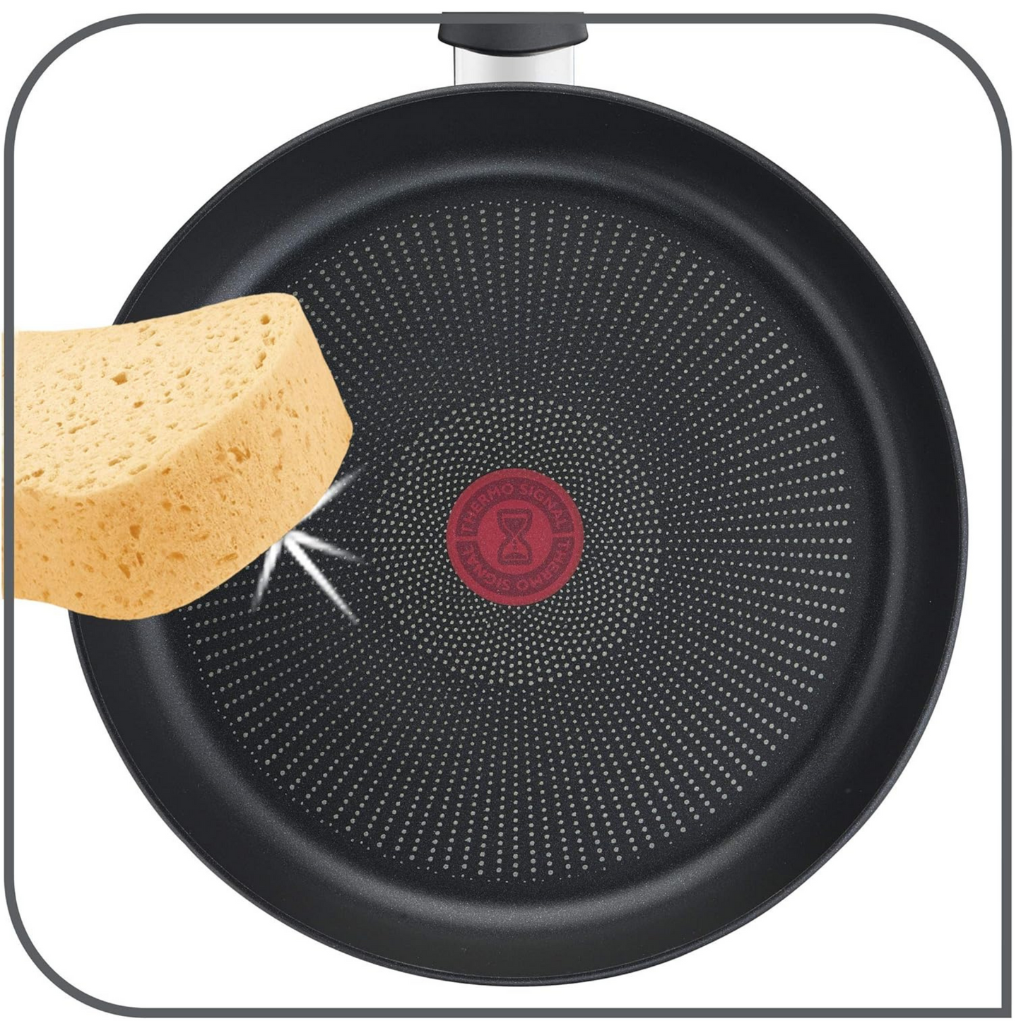 Tefal TEFALECO Schmorpfanne, 24 cm, mit Deckel, Antihaftbeschichtung, geeignet für Induktion,
