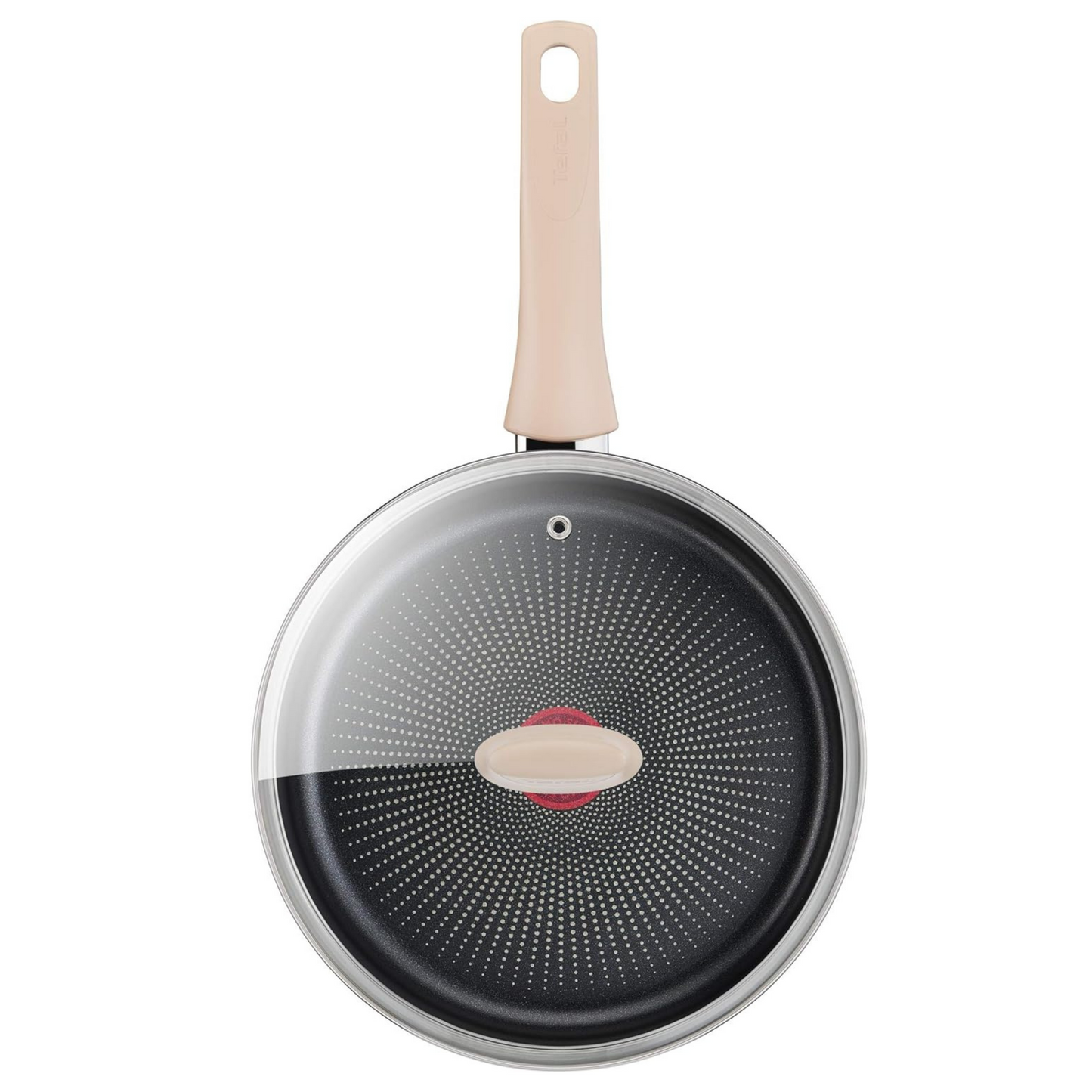 Tefal TEFALECO Schmorpfanne, 24 cm, mit Deckel, Antihaftbeschichtung, geeignet für Induktion,
